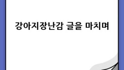 우리 강아지, 최고의 장난감 찾기!